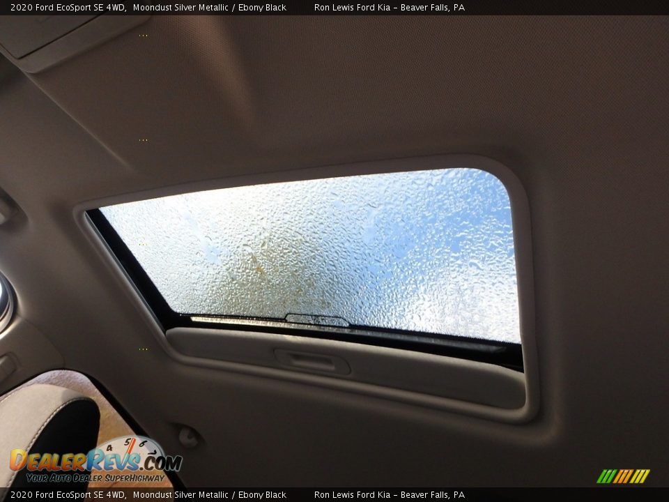 2020 Ford EcoSport SE 4WD Moondust Silver Metallic / Ebony Black Photo #13