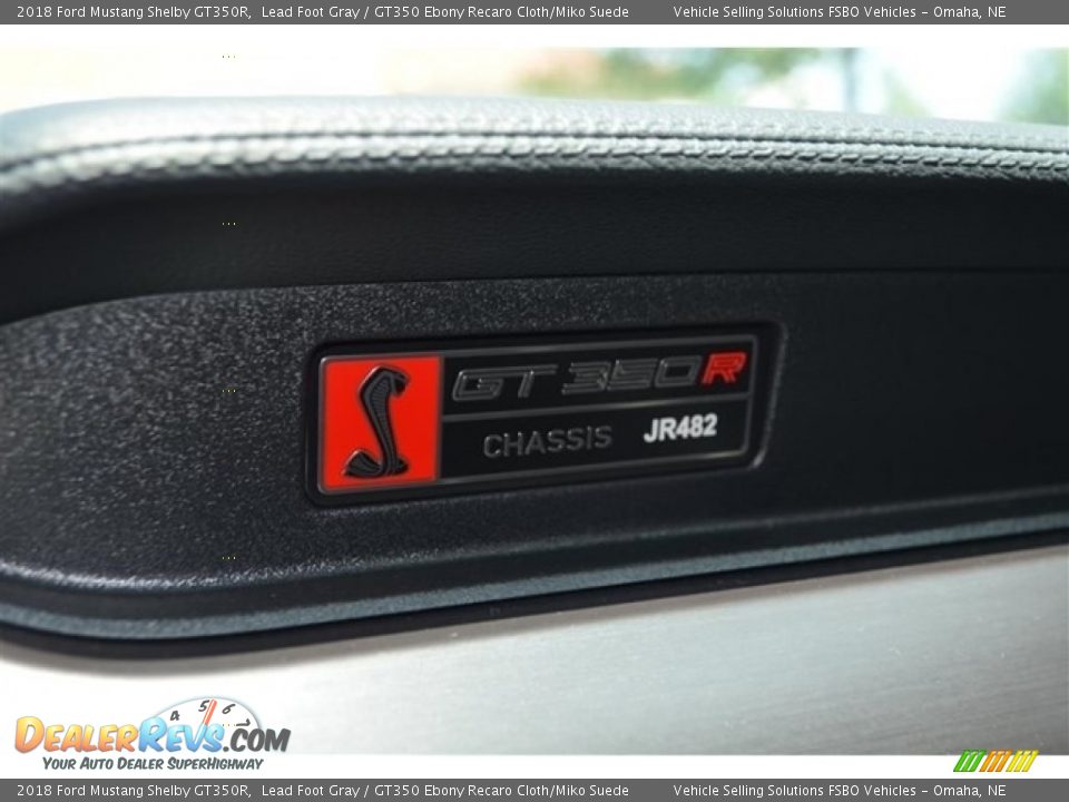2018 Ford Mustang Shelby GT350R Lead Foot Gray / GT350 Ebony Recaro Cloth/Miko Suede Photo #14