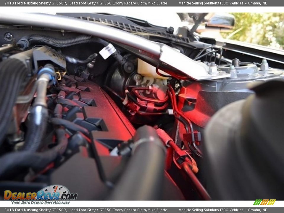 2018 Ford Mustang Shelby GT350R Lead Foot Gray / GT350 Ebony Recaro Cloth/Miko Suede Photo #22