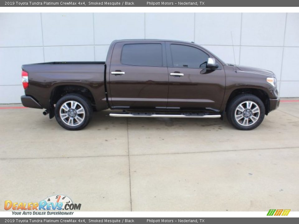 2019 Toyota Tundra Platinum CrewMax 4x4 Smoked Mesquite / Black Photo #9