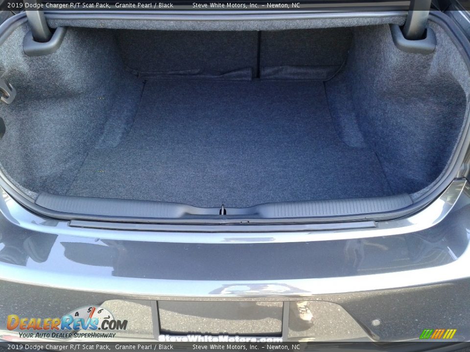 2019 Dodge Charger R/T Scat Pack Granite Pearl / Black Photo #12