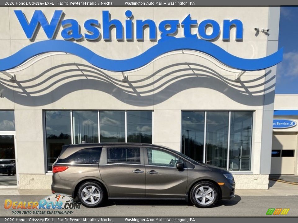 2020 Honda Odyssey EX-L Pacific Pewter Metallic / Mocha Photo #1