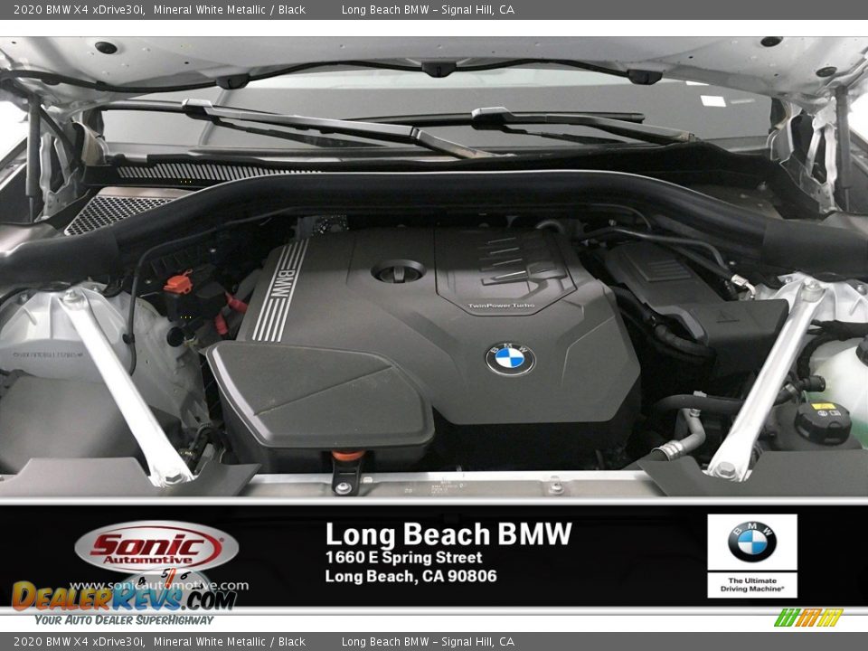 2020 BMW X4 xDrive30i Mineral White Metallic / Black Photo #8