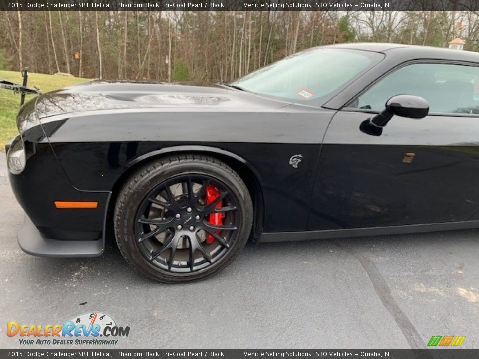 2015 Dodge Challenger SRT Hellcat Logo Photo #8