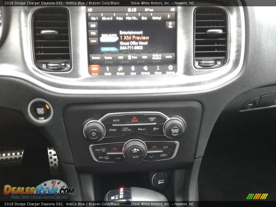 2018 Dodge Charger Daytona 392 IndiGo Blue / Brazen Gold/Black Photo #20