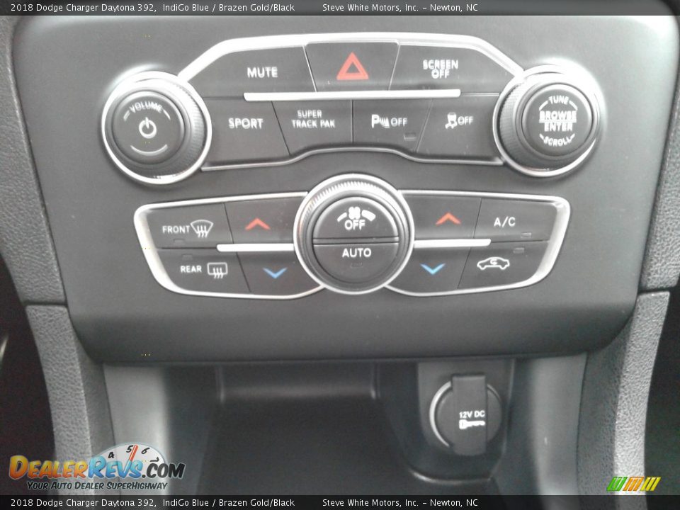 2018 Dodge Charger Daytona 392 IndiGo Blue / Brazen Gold/Black Photo #30