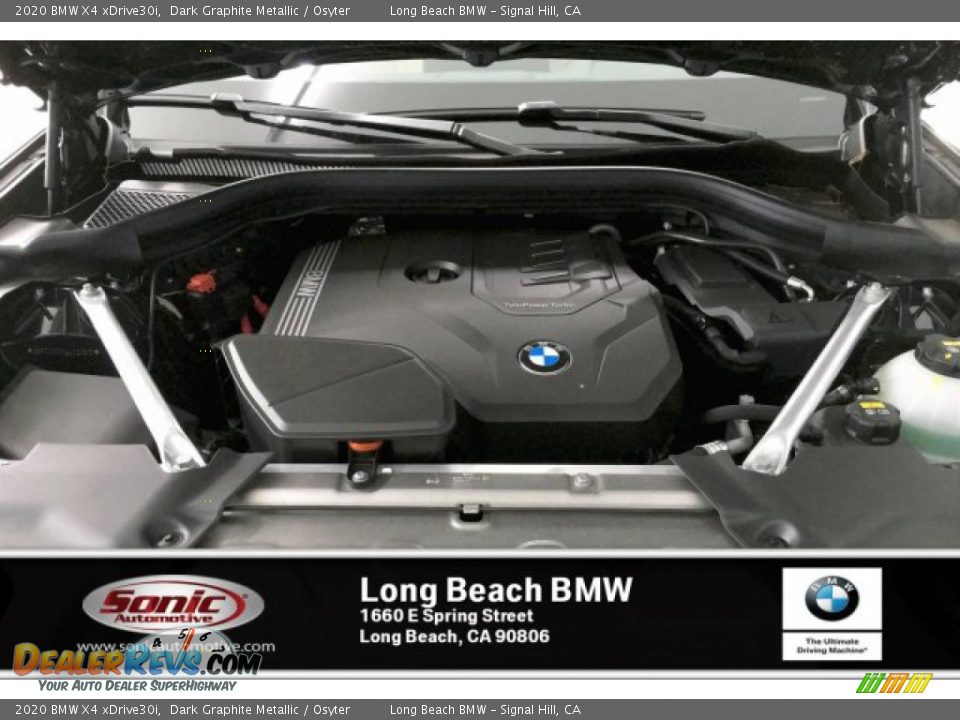 2020 BMW X4 xDrive30i Dark Graphite Metallic / Osyter Photo #8