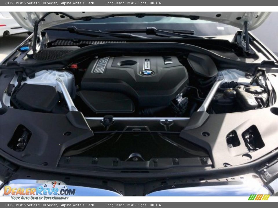 2019 BMW 5 Series 530i Sedan Alpine White / Black Photo #8