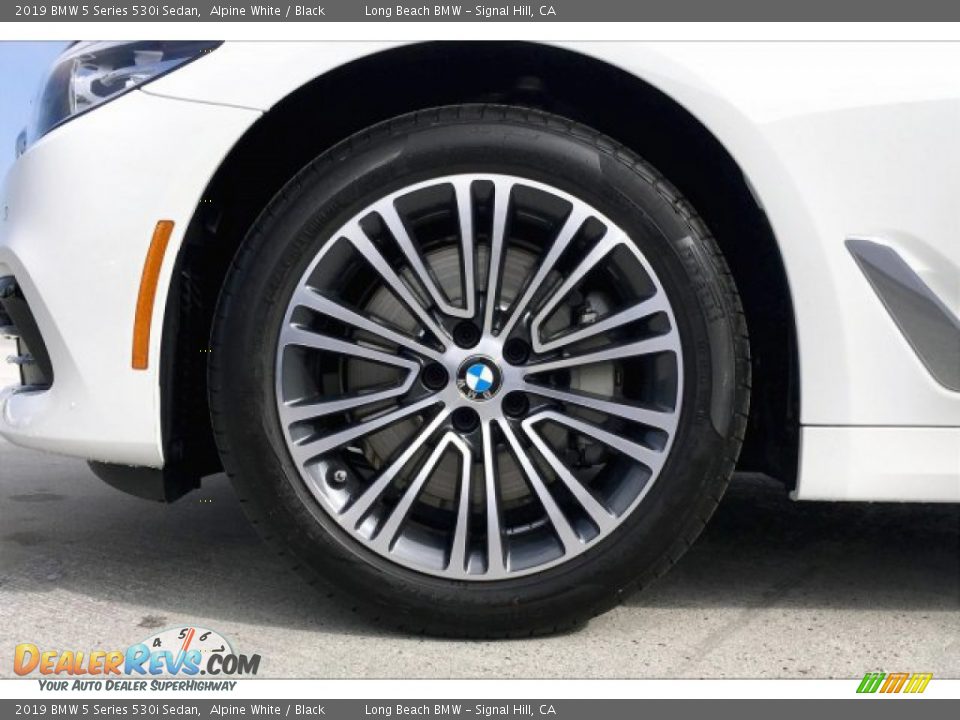 2019 BMW 5 Series 530i Sedan Alpine White / Black Photo #9