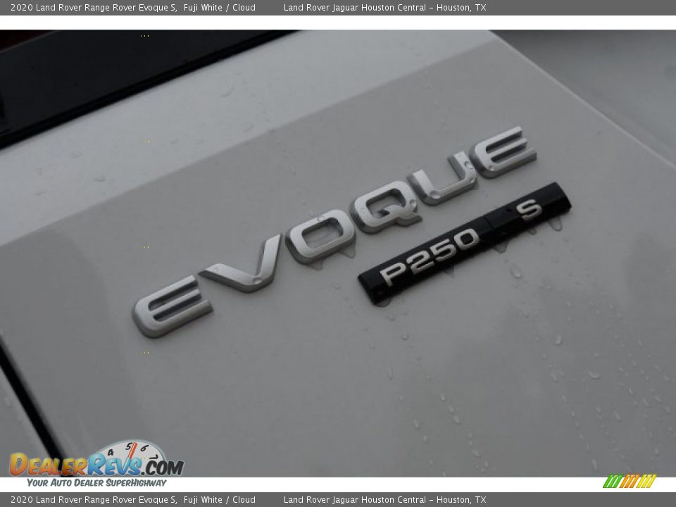2020 Land Rover Range Rover Evoque S Fuji White / Cloud Photo #9