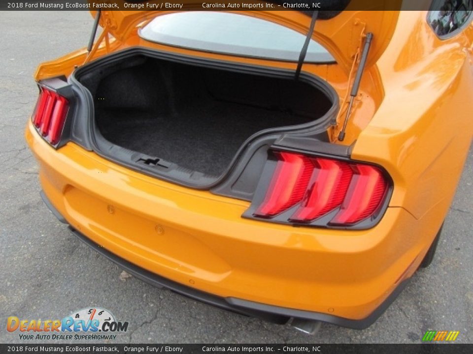 2018 Ford Mustang EcoBoost Fastback Trunk Photo #20