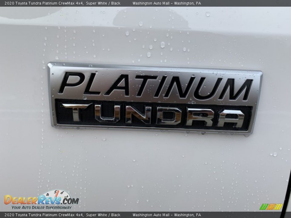 2020 Toyota Tundra Platinum CrewMax 4x4 Logo Photo #6