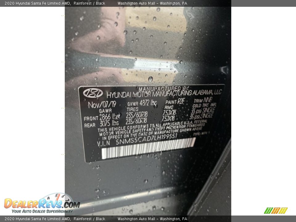 2020 Hyundai Santa Fe Limited AWD Rainforest / Black Photo #10
