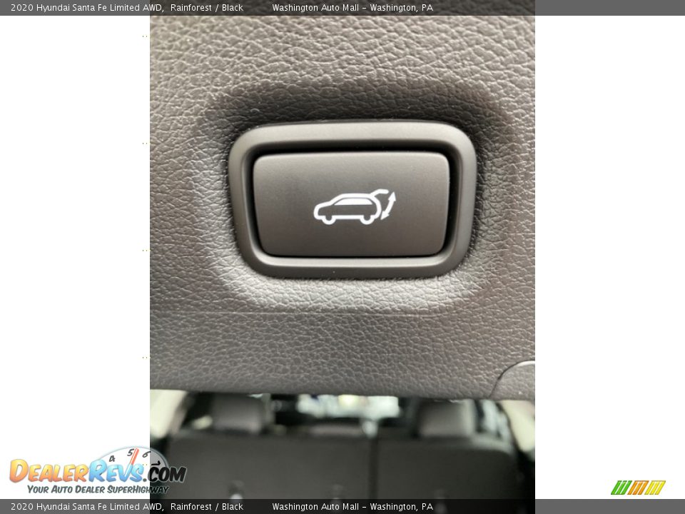 2020 Hyundai Santa Fe Limited AWD Rainforest / Black Photo #24
