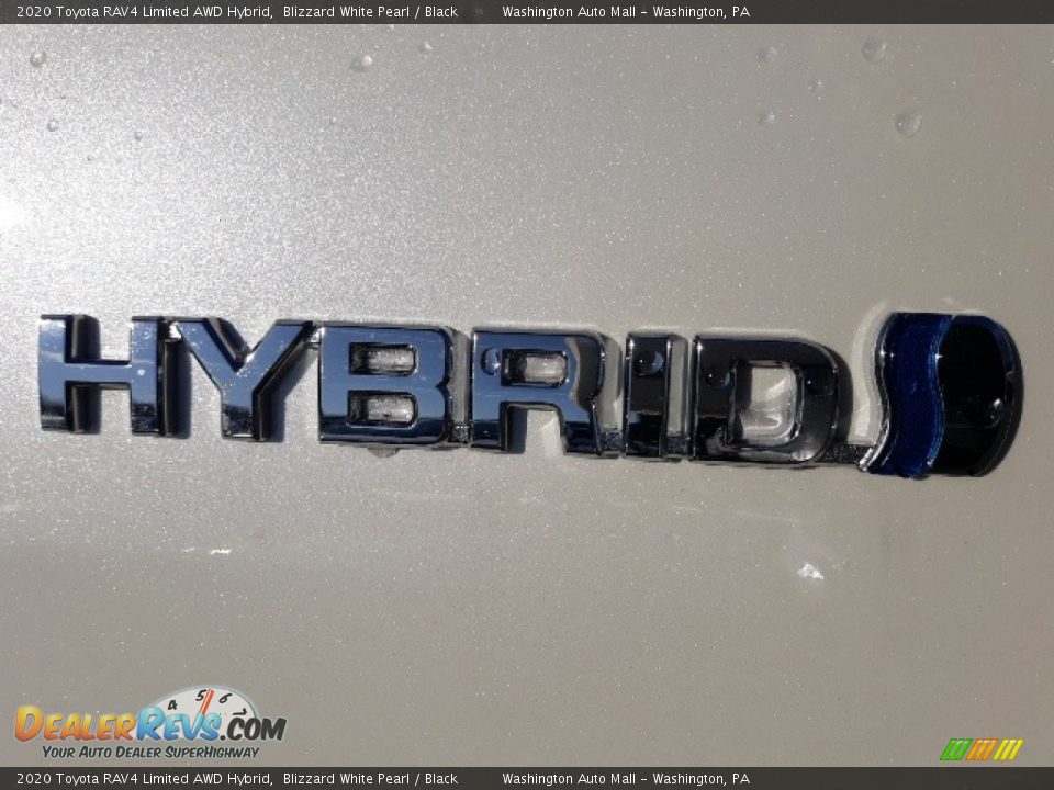 2020 Toyota RAV4 Limited AWD Hybrid Logo Photo #9