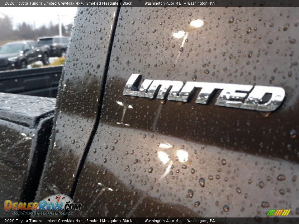 2020 Toyota Tundra Limited CrewMax 4x4 Smoked Mesquite / Black Photo #19