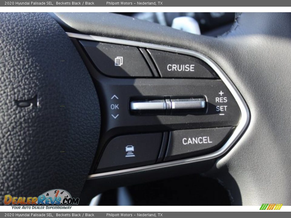 2020 Hyundai Palisade SEL Becketts Black / Black Photo #12