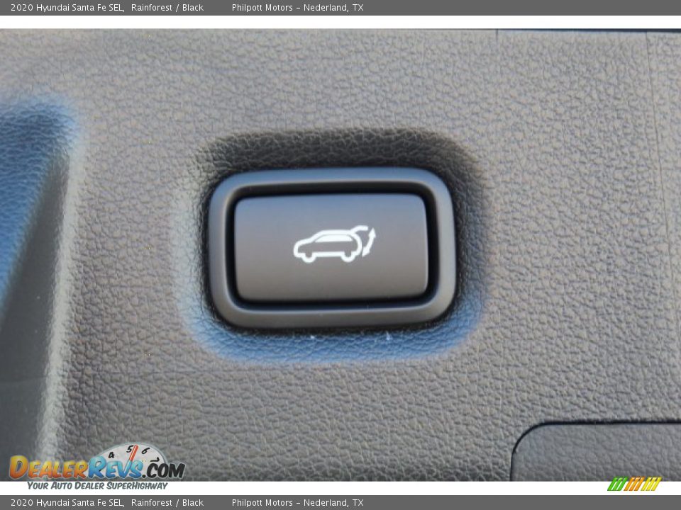 2020 Hyundai Santa Fe SEL Rainforest / Black Photo #25