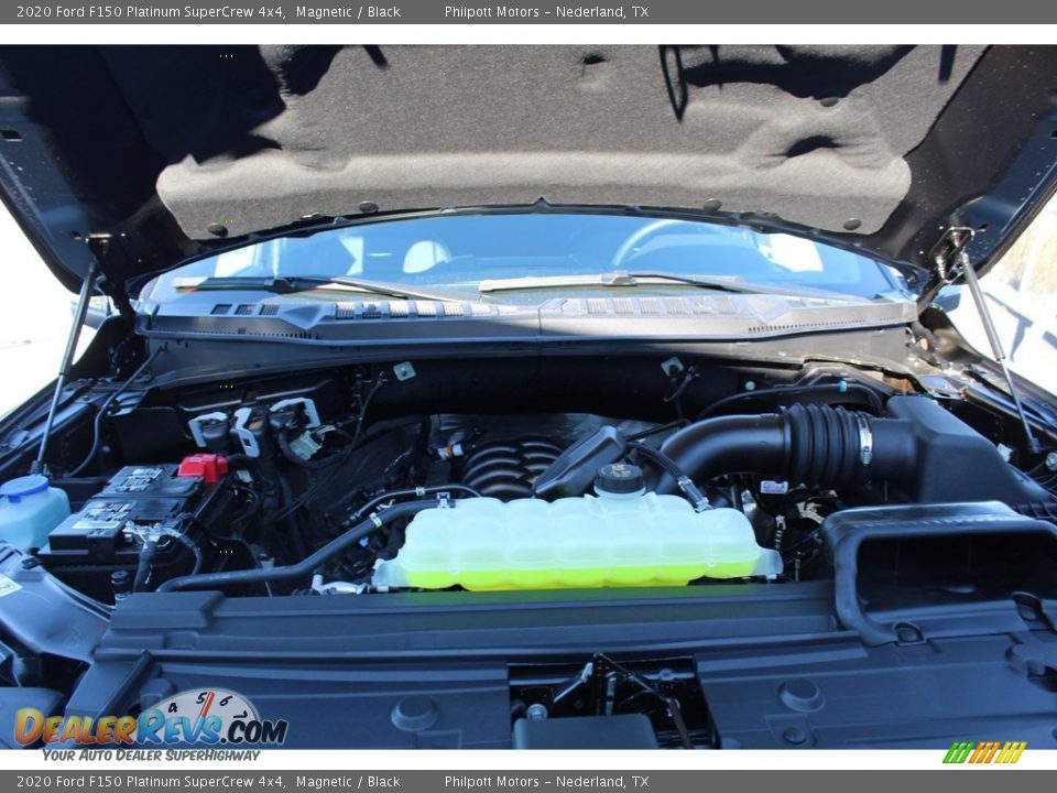 2020 Ford F150 Platinum SuperCrew 4x4 Magnetic / Black Photo #25