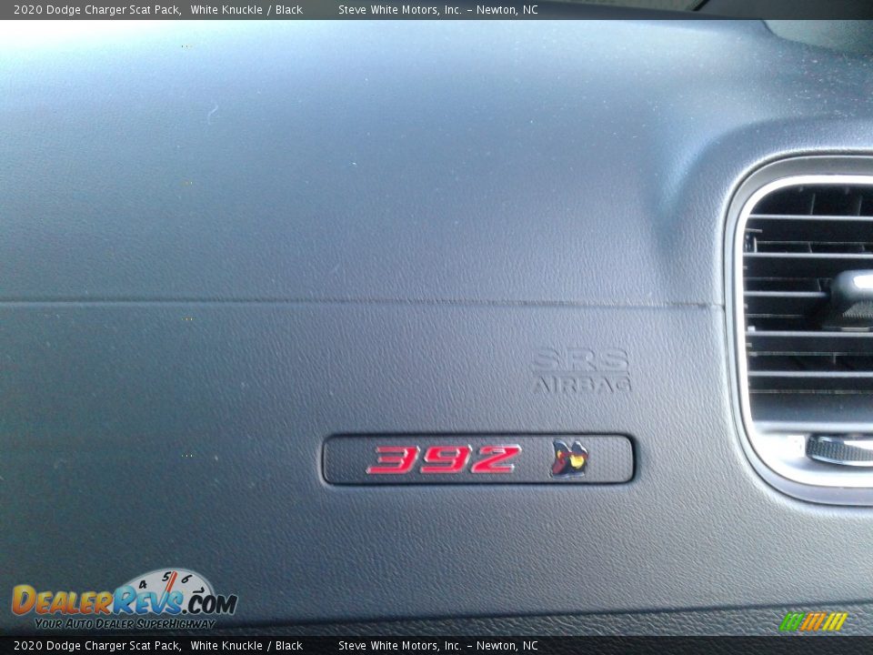 2020 Dodge Charger Scat Pack Logo Photo #19