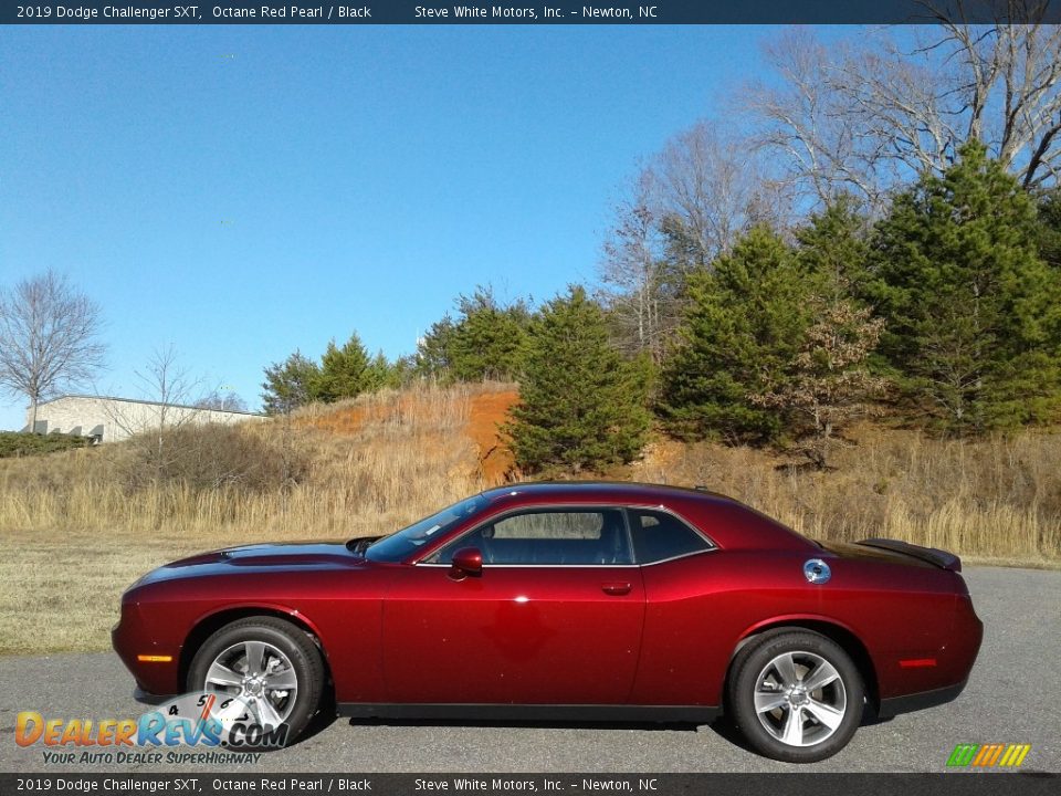 2019 Dodge Challenger SXT Octane Red Pearl / Black Photo #1