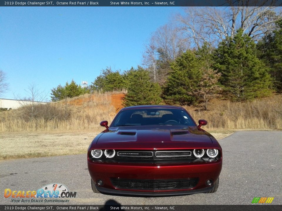 2019 Dodge Challenger SXT Octane Red Pearl / Black Photo #3