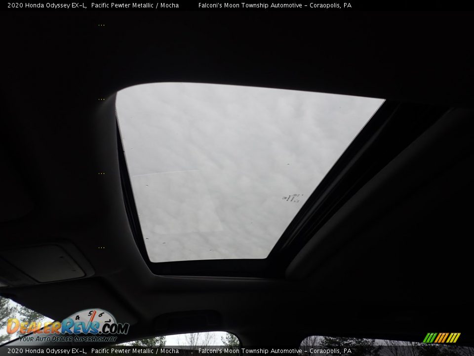 2020 Honda Odyssey EX-L Pacific Pewter Metallic / Mocha Photo #13