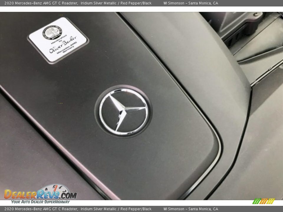 2020 Mercedes-Benz AMG GT C Roadster Iridium Silver Metallic / Red Pepper/Black Photo #28