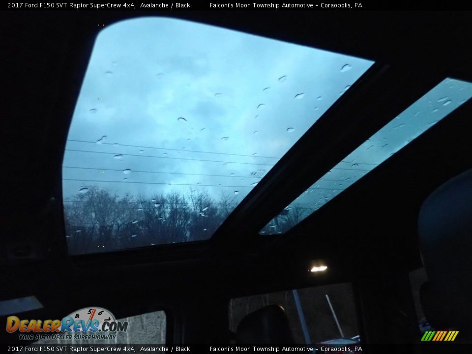 2017 Ford F150 SVT Raptor SuperCrew 4x4 Avalanche / Black Photo #20