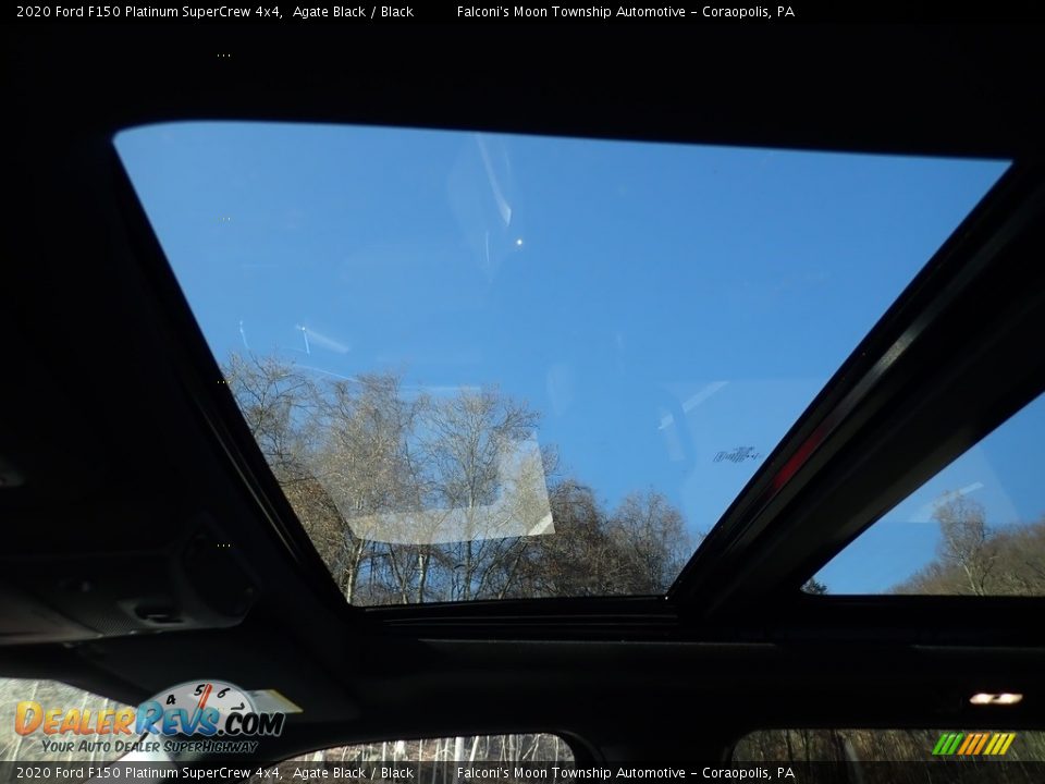 2020 Ford F150 Platinum SuperCrew 4x4 Agate Black / Black Photo #12
