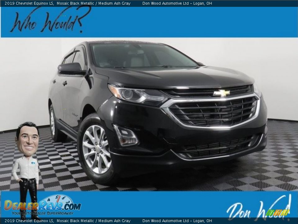 2019 Chevrolet Equinox LS Mosaic Black Metallic / Medium Ash Gray Photo #1