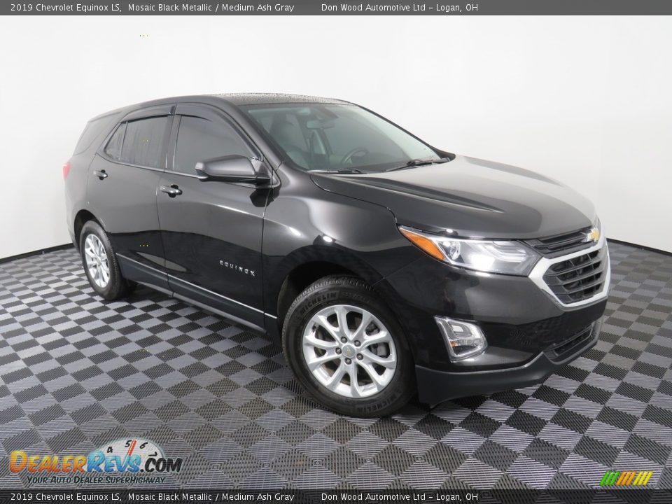 2019 Chevrolet Equinox LS Mosaic Black Metallic / Medium Ash Gray Photo #3