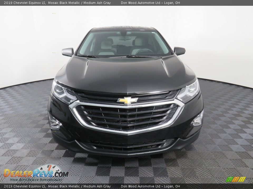 2019 Chevrolet Equinox LS Mosaic Black Metallic / Medium Ash Gray Photo #5
