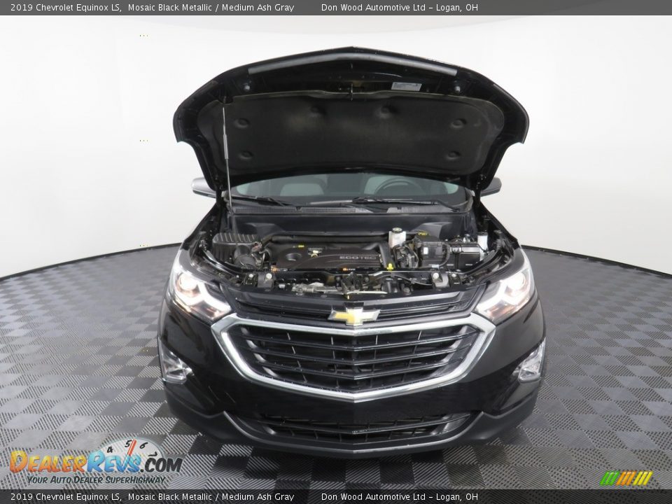 2019 Chevrolet Equinox LS Mosaic Black Metallic / Medium Ash Gray Photo #6