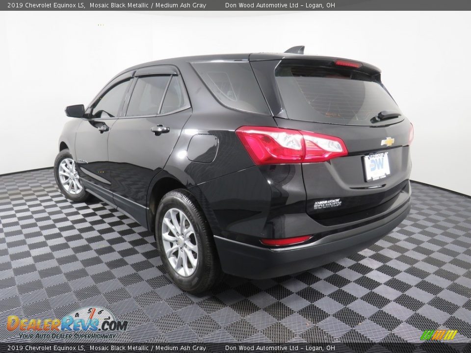 2019 Chevrolet Equinox LS Mosaic Black Metallic / Medium Ash Gray Photo #11