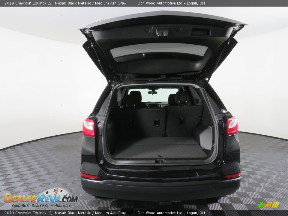 2019 Chevrolet Equinox LS Mosaic Black Metallic / Medium Ash Gray Photo #13