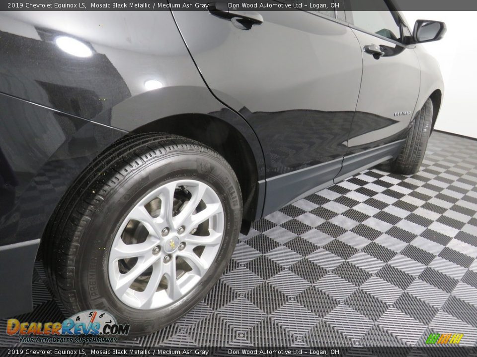2019 Chevrolet Equinox LS Mosaic Black Metallic / Medium Ash Gray Photo #16
