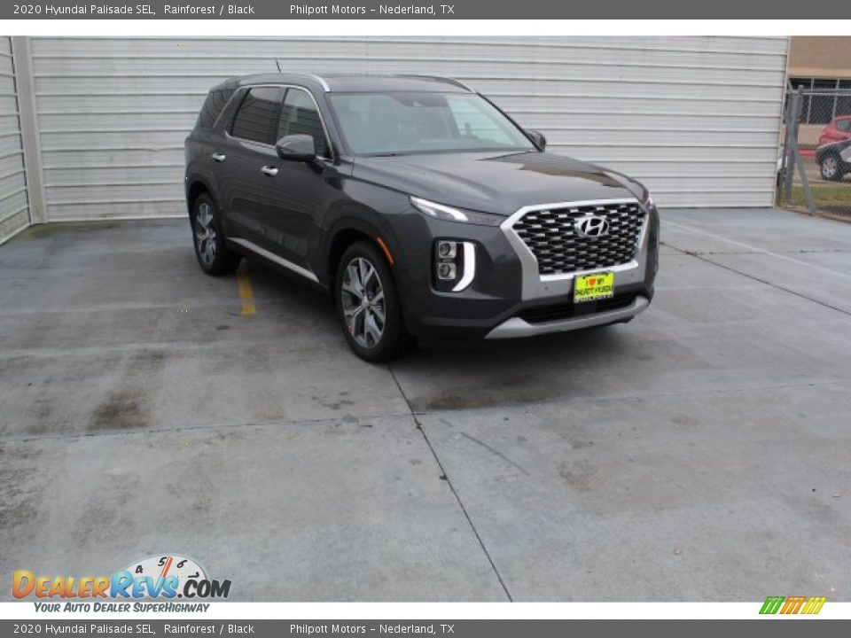 2020 Hyundai Palisade SEL Rainforest / Black Photo #2