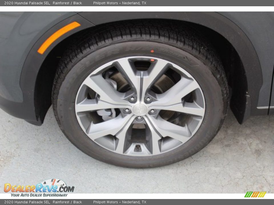 2020 Hyundai Palisade SEL Rainforest / Black Photo #5