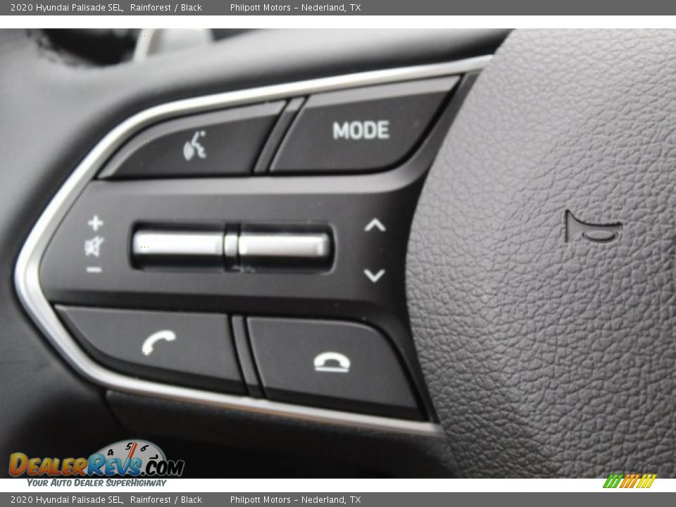 2020 Hyundai Palisade SEL Rainforest / Black Photo #12