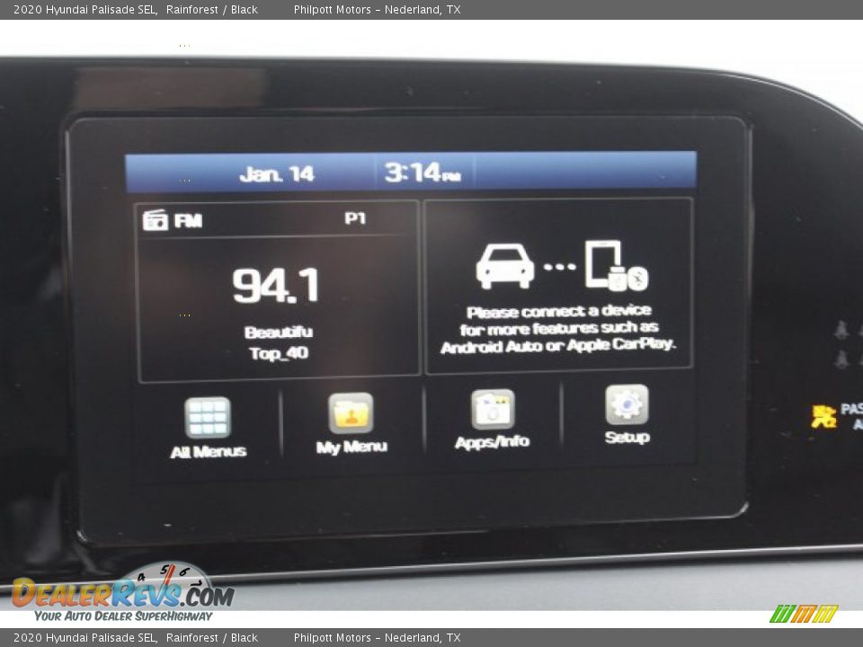 2020 Hyundai Palisade SEL Rainforest / Black Photo #17