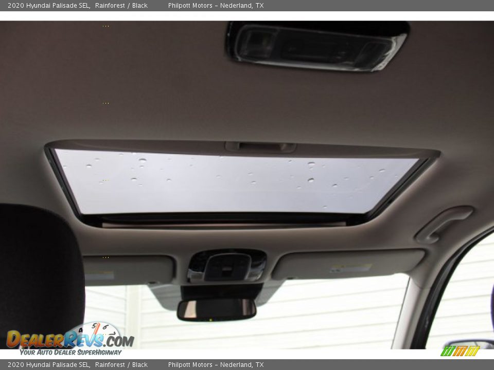 2020 Hyundai Palisade SEL Rainforest / Black Photo #24
