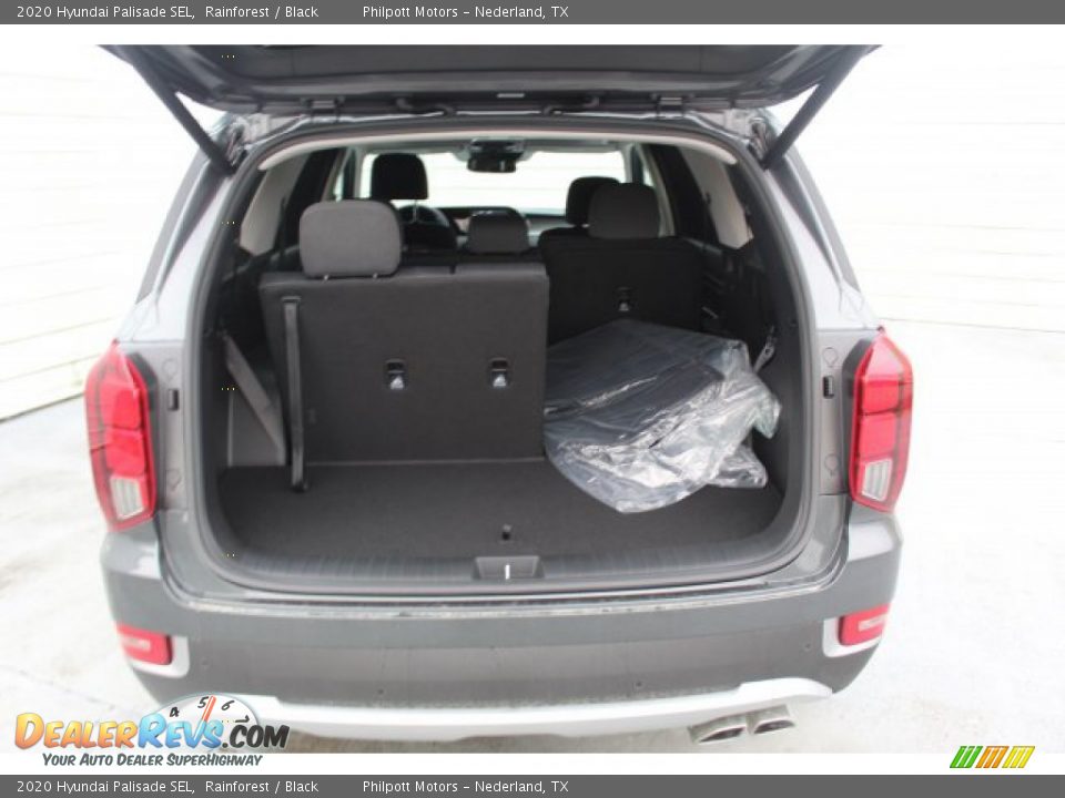 2020 Hyundai Palisade SEL Rainforest / Black Photo #25