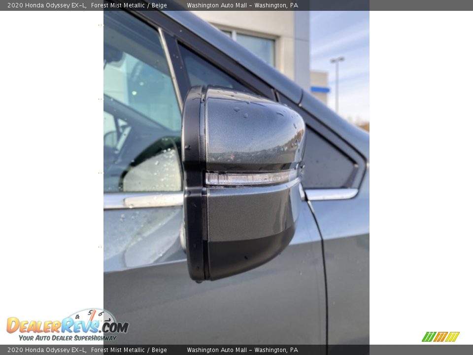 2020 Honda Odyssey EX-L Forest Mist Metallic / Beige Photo #28