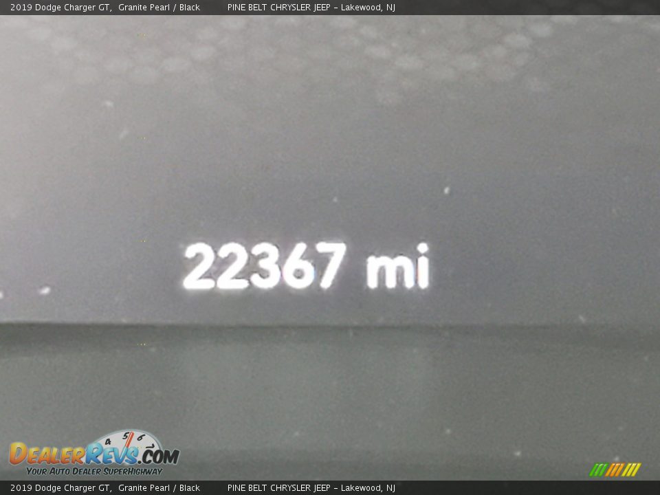 2019 Dodge Charger GT Granite Pearl / Black Photo #5