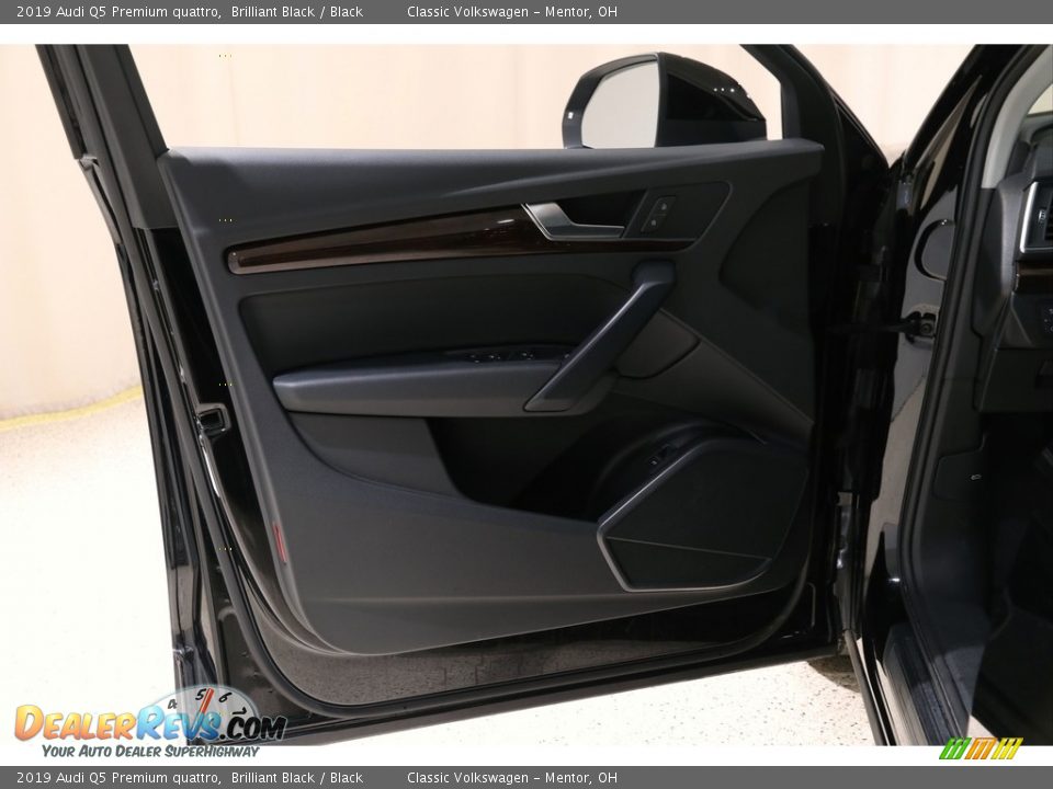 Door Panel of 2019 Audi Q5 Premium quattro Photo #4