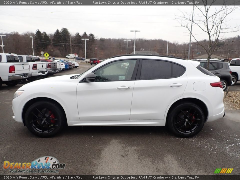 Alfa White 2020 Alfa Romeo Stelvio AWD Photo #3