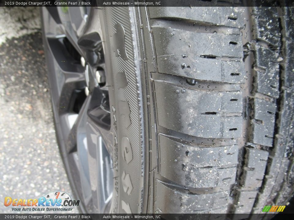 2019 Dodge Charger SXT Granite Pearl / Black Photo #8