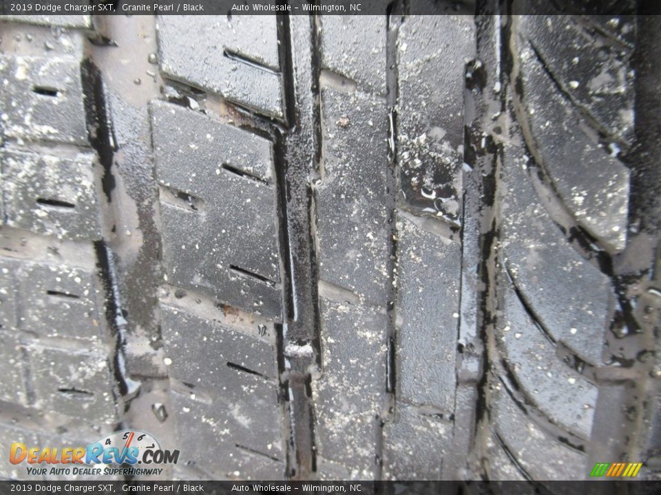 2019 Dodge Charger SXT Granite Pearl / Black Photo #9