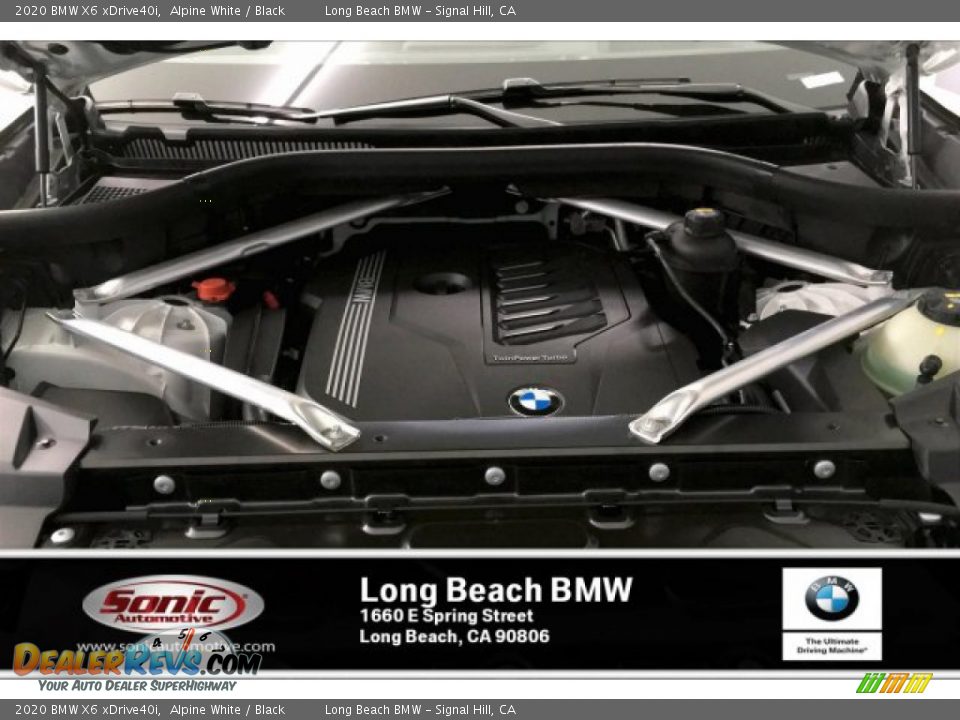 2020 BMW X6 xDrive40i Alpine White / Black Photo #8